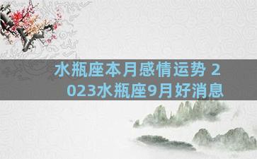 水瓶座本月感情运势 2023水瓶座9月好消息